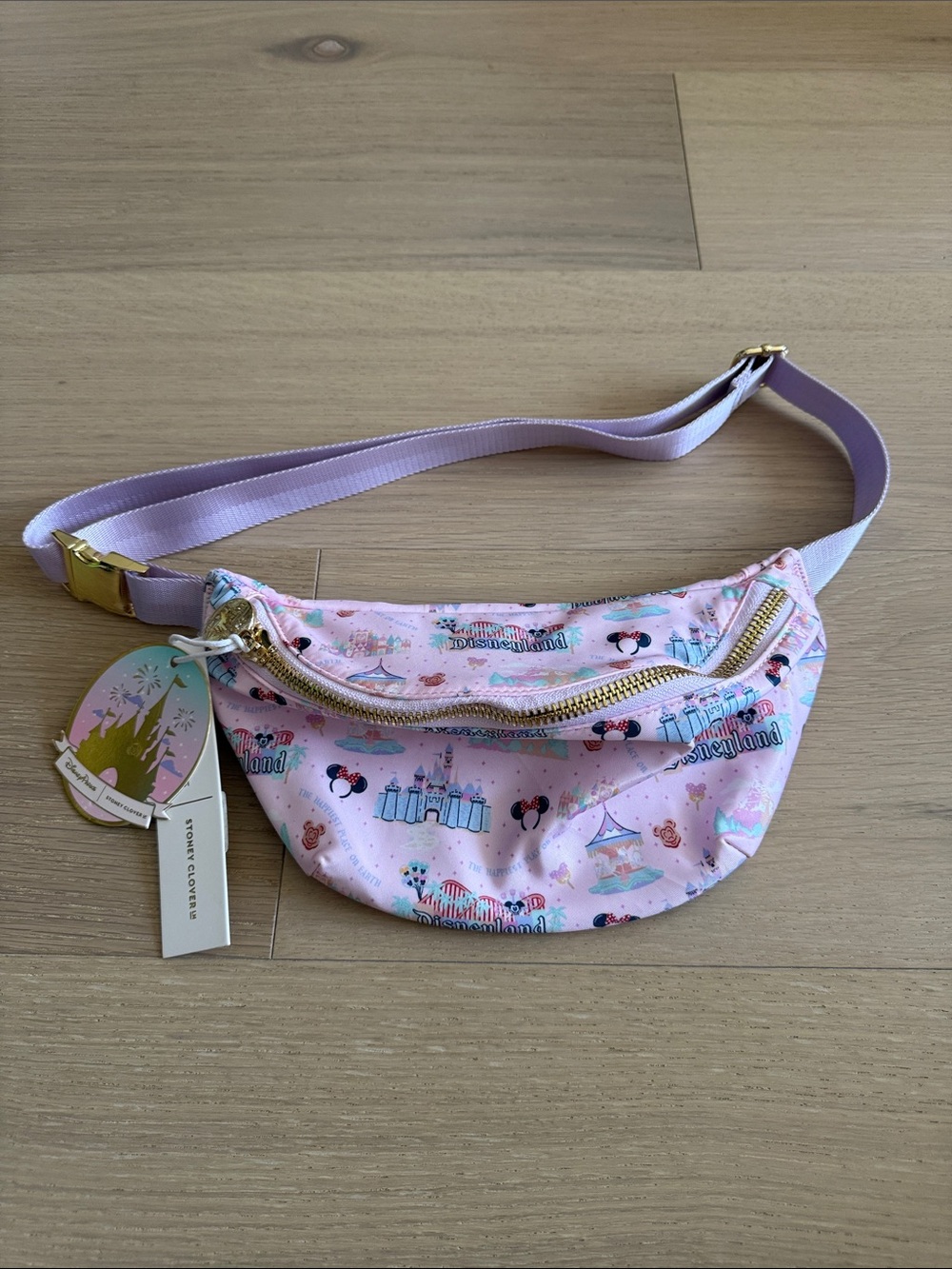 Stoney Clover Disneyland Fanny pack